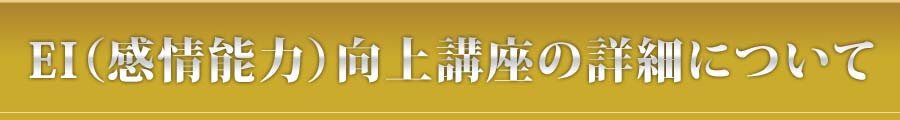 EI（感情能力）向上講座の詳細について